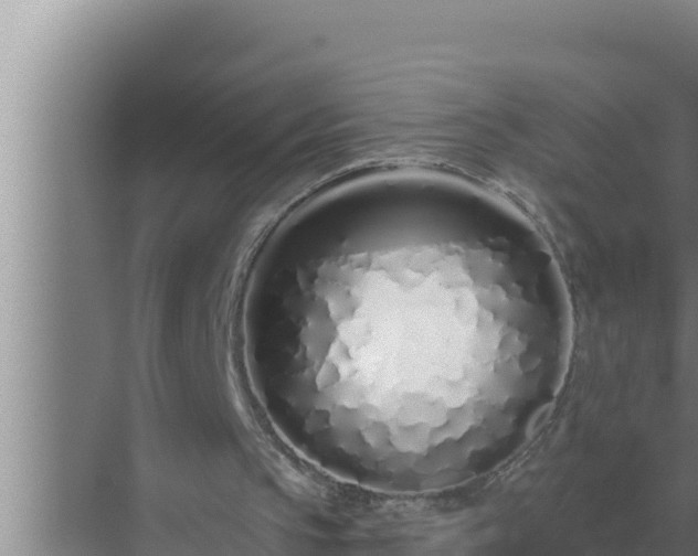 X0000072940145200607282212