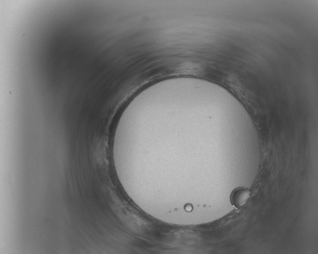 X0000072940146200607282212