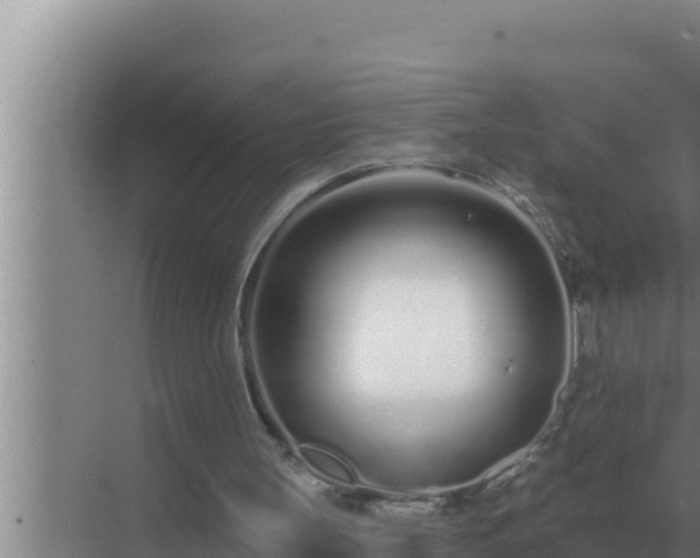 X0000072940147200607282212