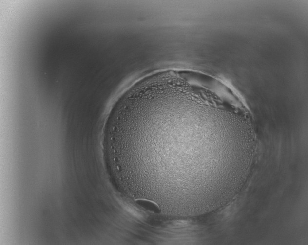 X0000072940151200607282212