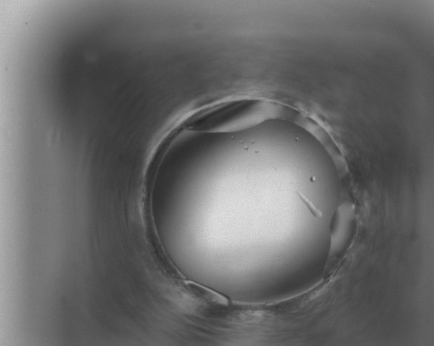 X0000072940152200607282212