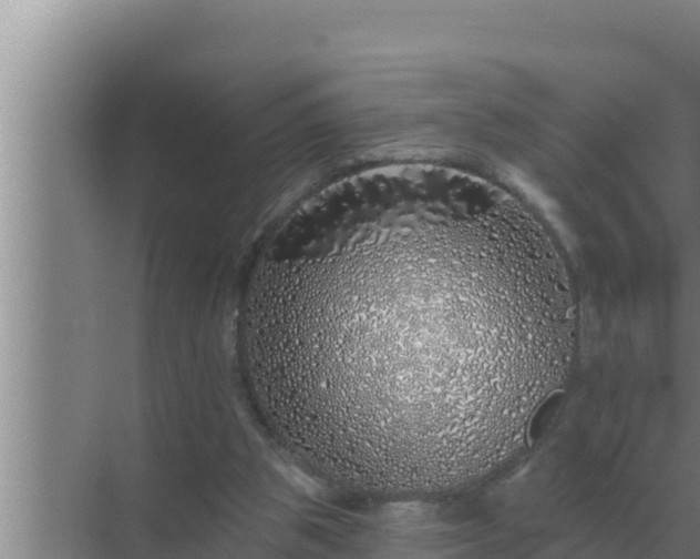 X0000072940153200607282212