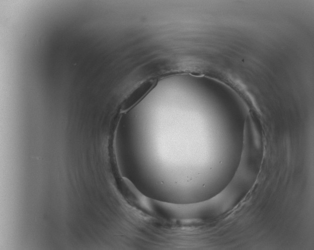 X0000072940154200607282212