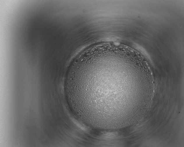 X0000072940155200607282212