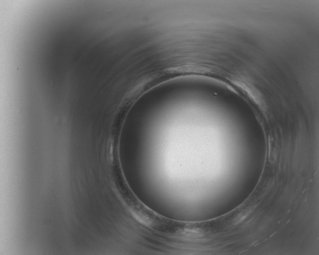 X0000072940157200607282212