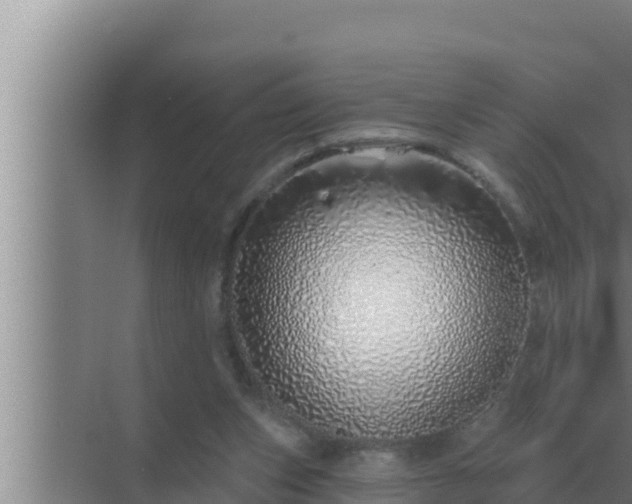 X0000072940159200607282212