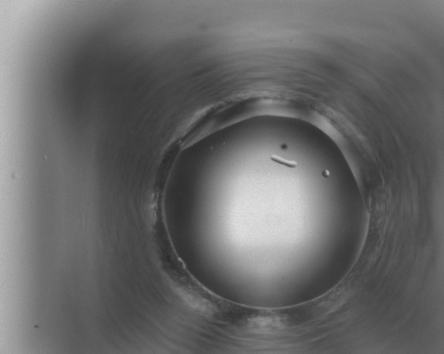 X0000072940160200607282212