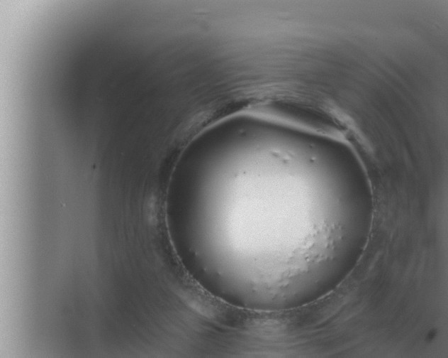 X0000072940161200607282212