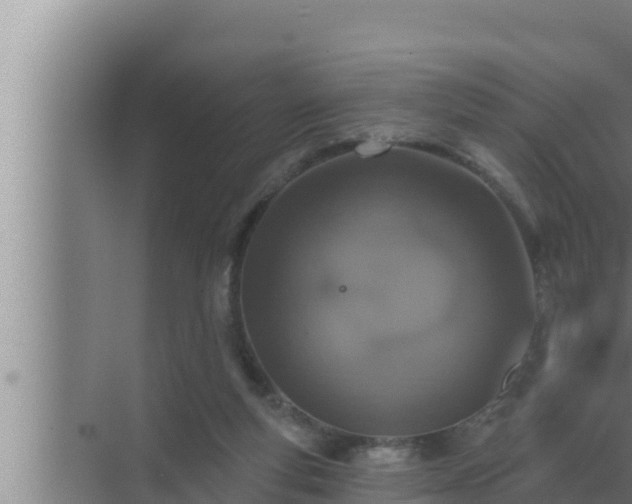 X0000072940163200607282212