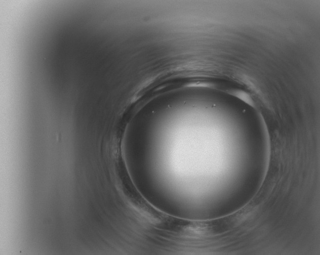 X0000072940164200607282212