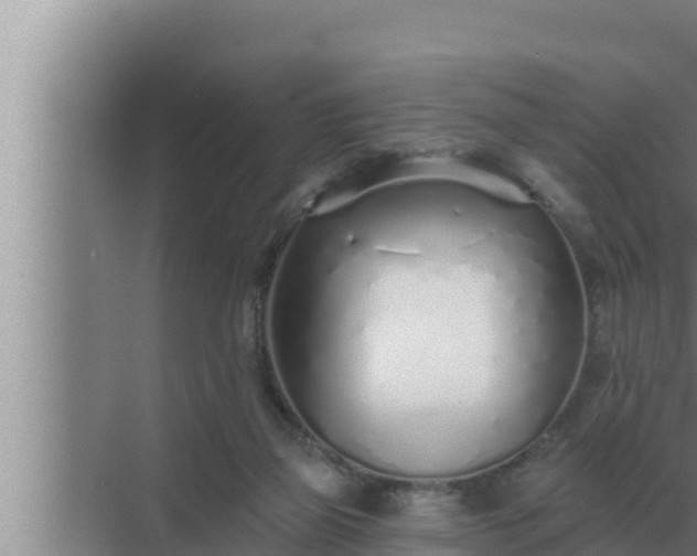 X0000072940165200607282212