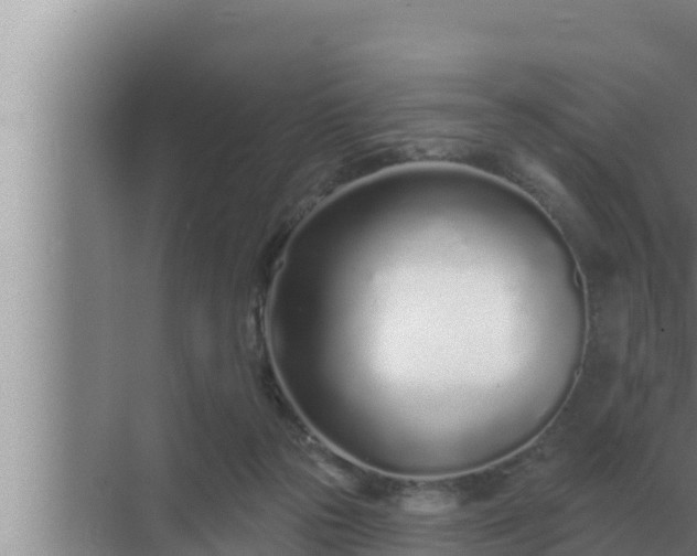 X0000072940169200607282212