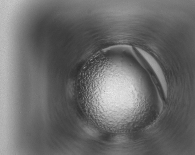 X0000072940171200607282212