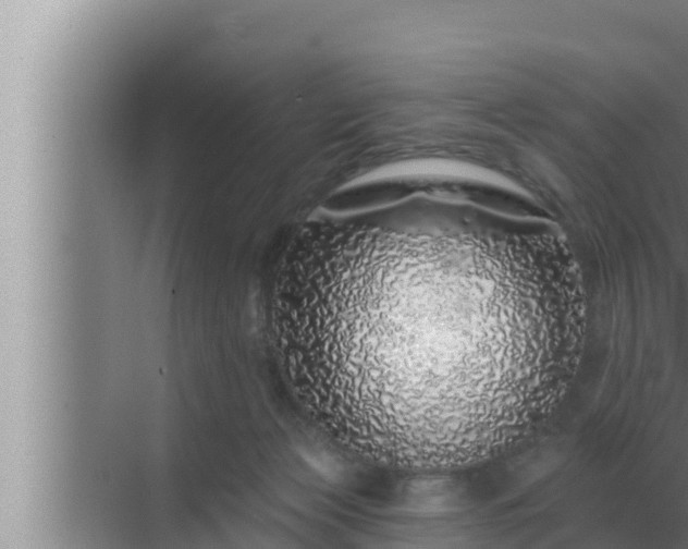 X0000072940173200607282213