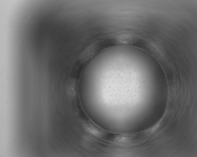 X0000072940174200607282213