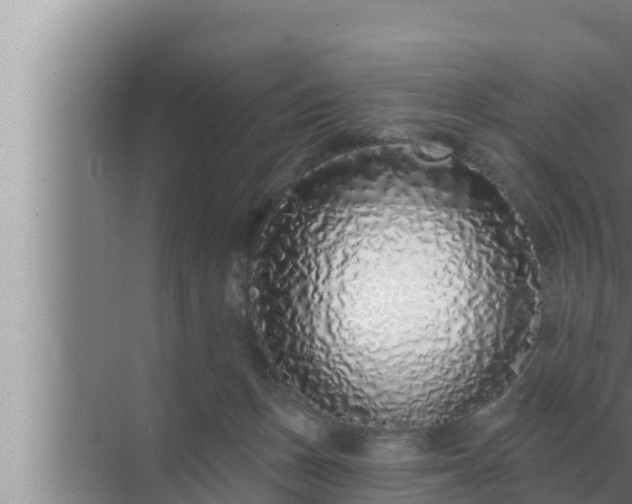 X0000072940175200607282213