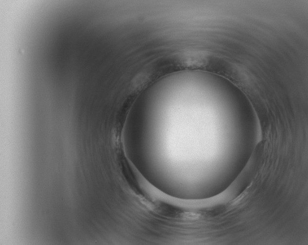 X0000072940176200607282213