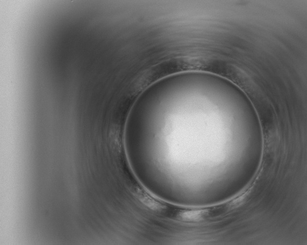 X0000072940178200607282213