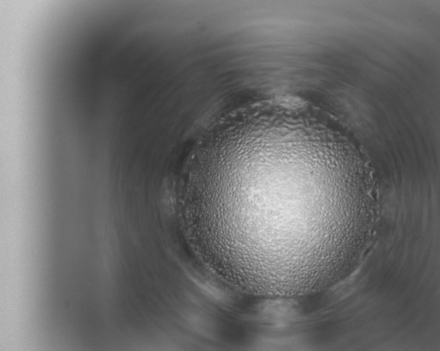 X0000072940179200607282213