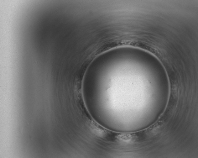 X0000072940181200607282213