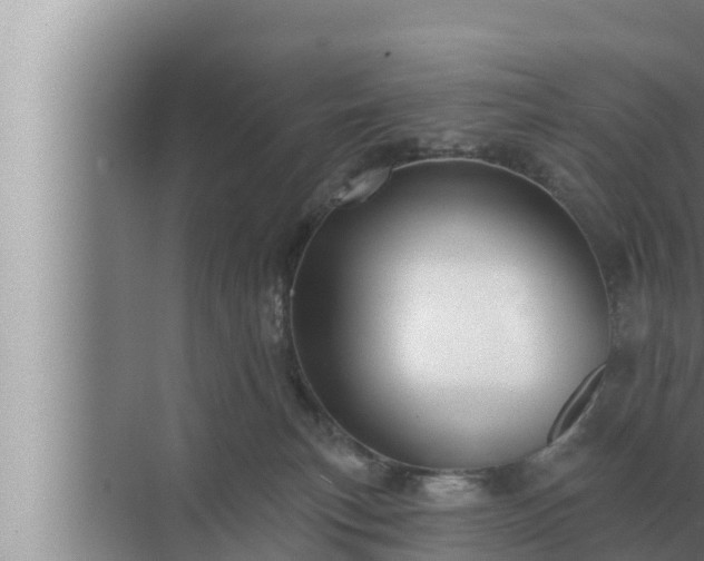 X0000072940183200607282213