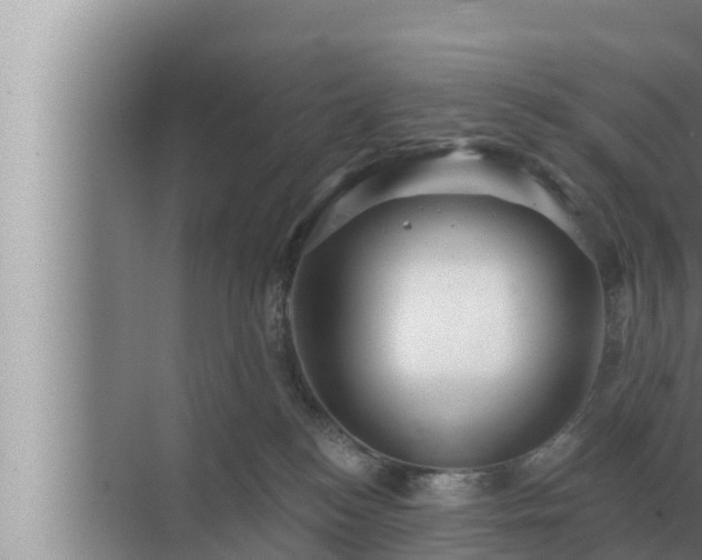 X0000072940184200607282213