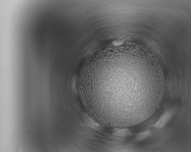 X0000072940185200607282213