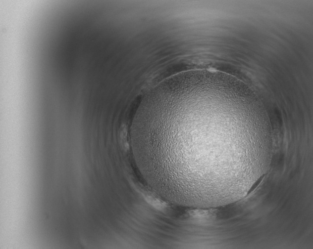 X0000072940187200607282213