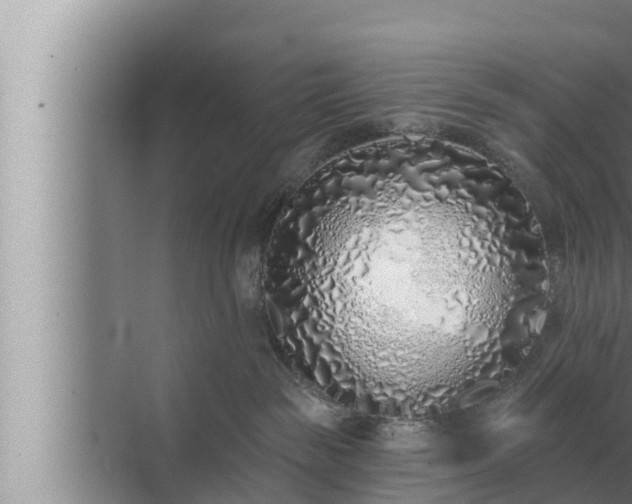 X0000072940189200607282213