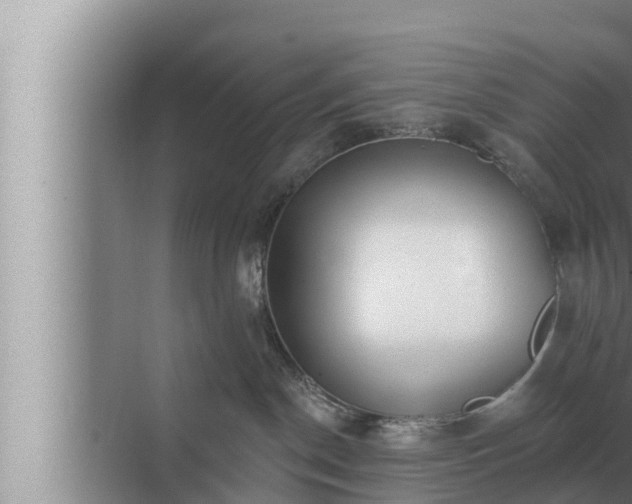 X0000072940190200607282213