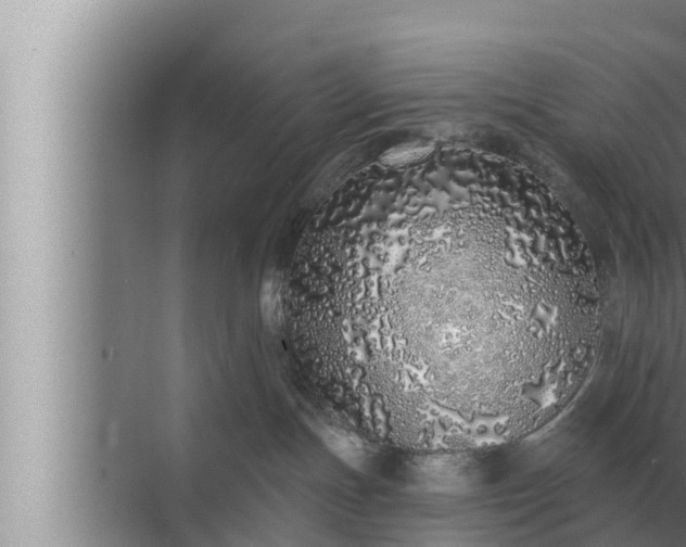 X0000072940191200607282213