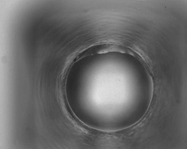 X0000072940193200607282212