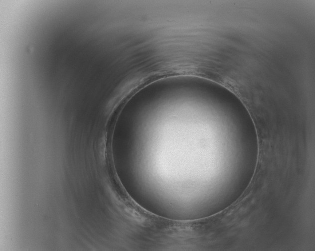 X0000072940194200607282212