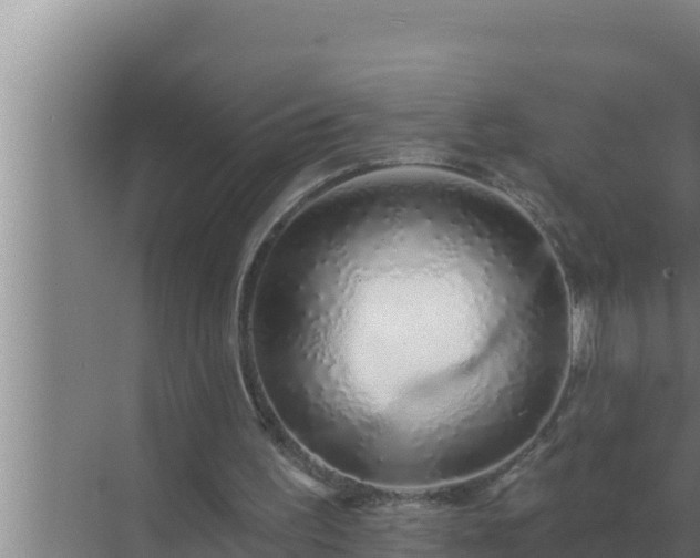 X0000072940195200607282212