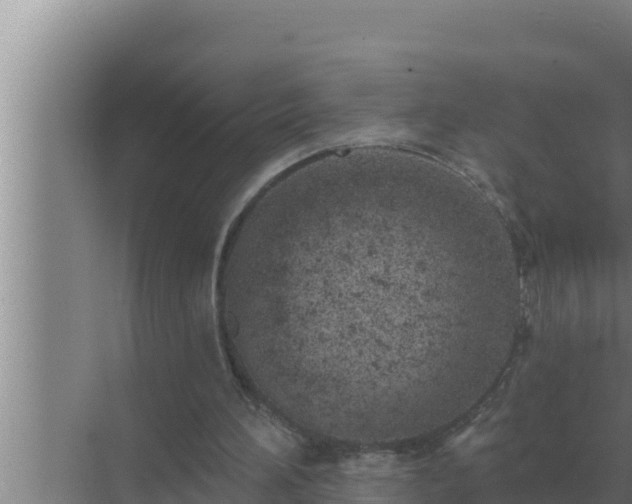 X0000072940196200607282212