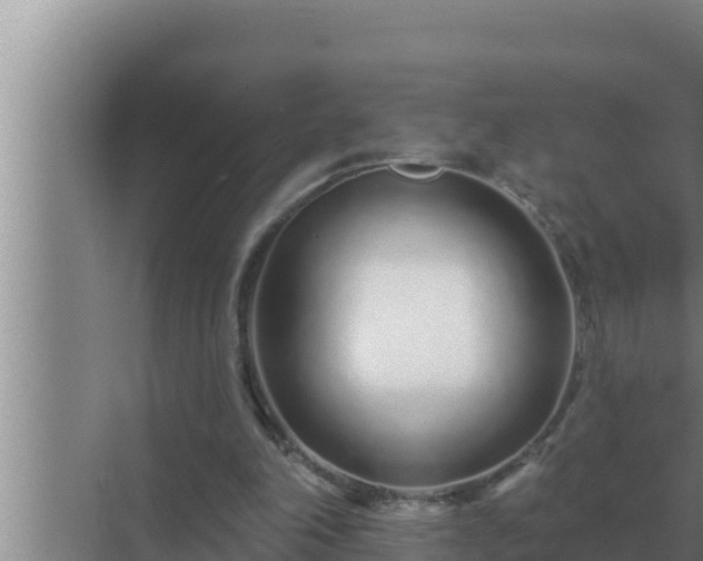 X0000072940198200607282212