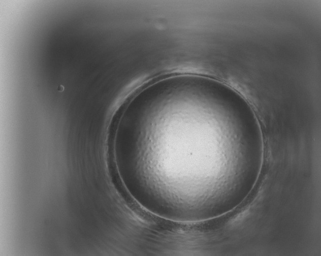 X0000072940199200607282212