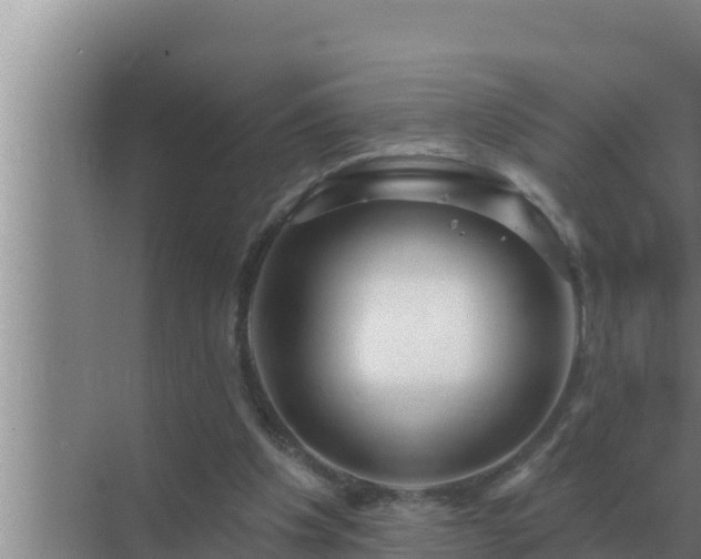 X0000072940201200607282212