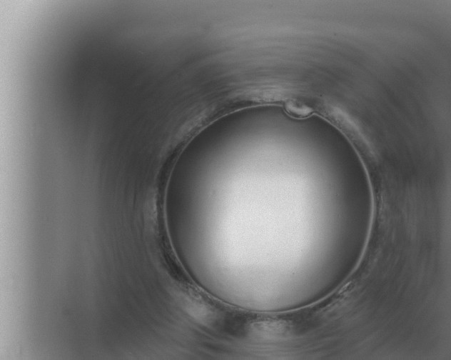 X0000072940202200607282212