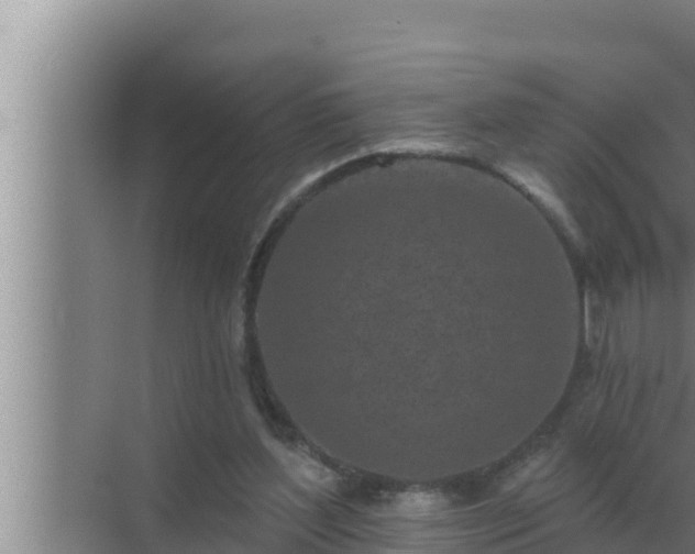 X0000072940204200607282212