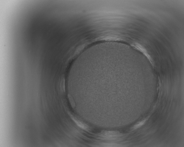 X0000072940205200607282212