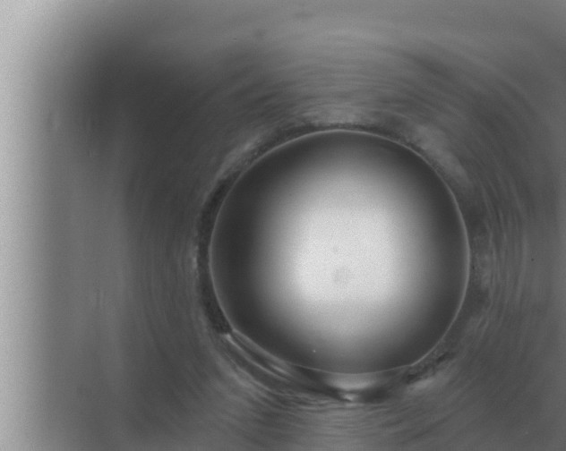 X0000072940207200607282212