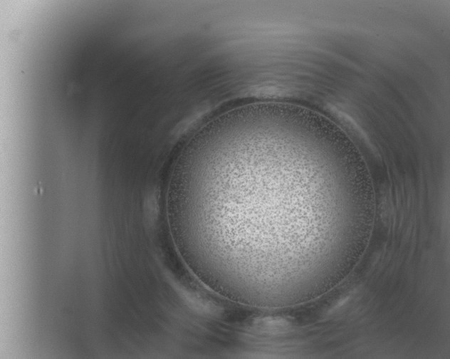 X0000072940208200607282212