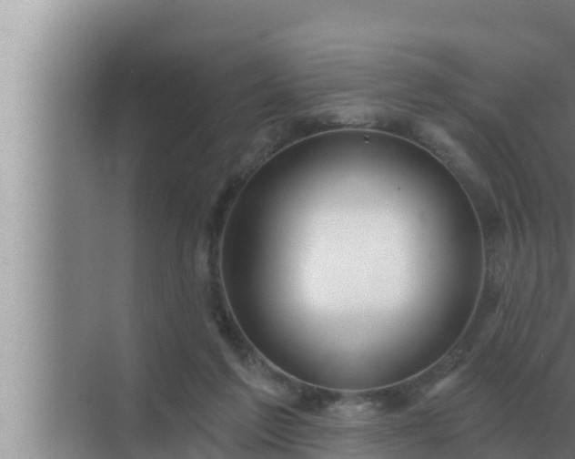 X0000072940213200607282212