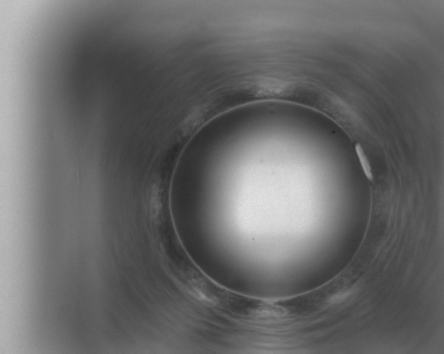 X0000072940215200607282212