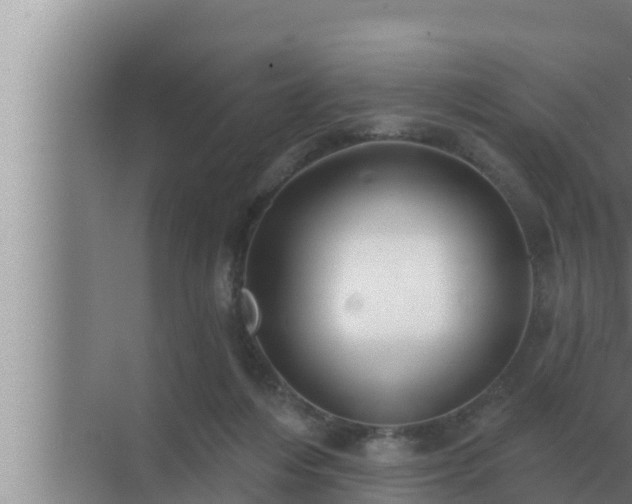 X0000072940216200607282212