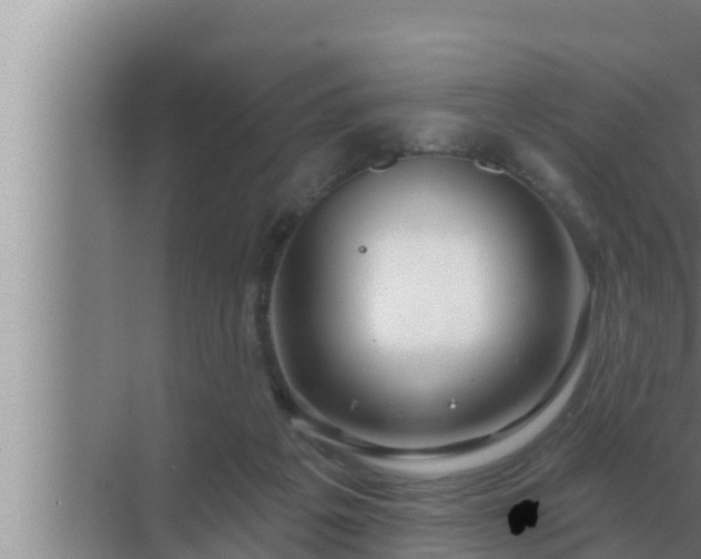 X0000072940217200607282212