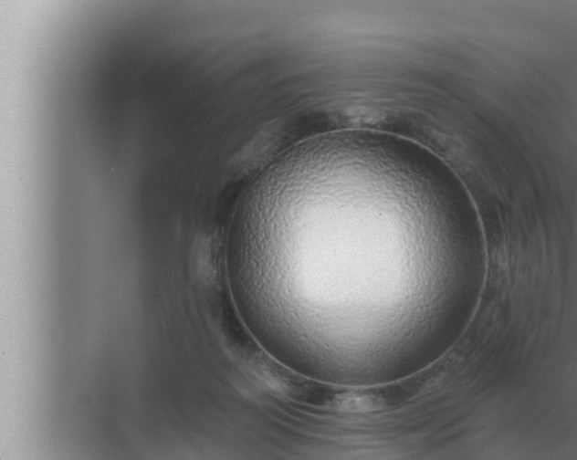 X0000072940218200607282212