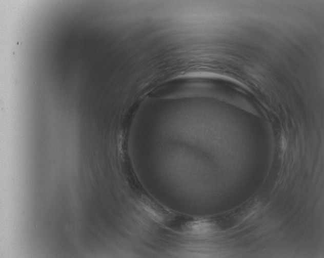 X0000072940219200607282212