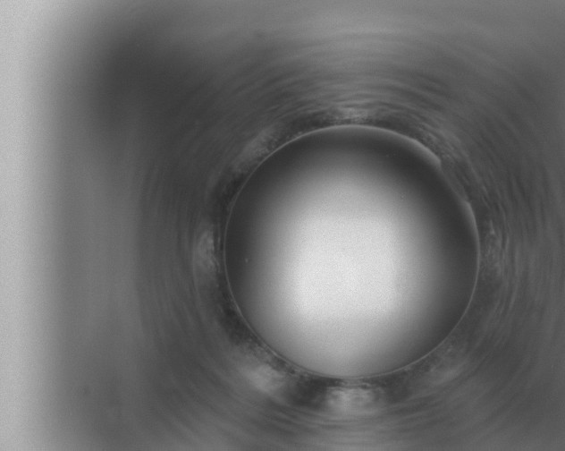 X0000072940220200607282212